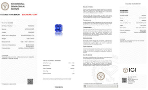 16.40 Carat Tanzanite And 0.75Ct Diamonds - 18 kt. White gold - Ring